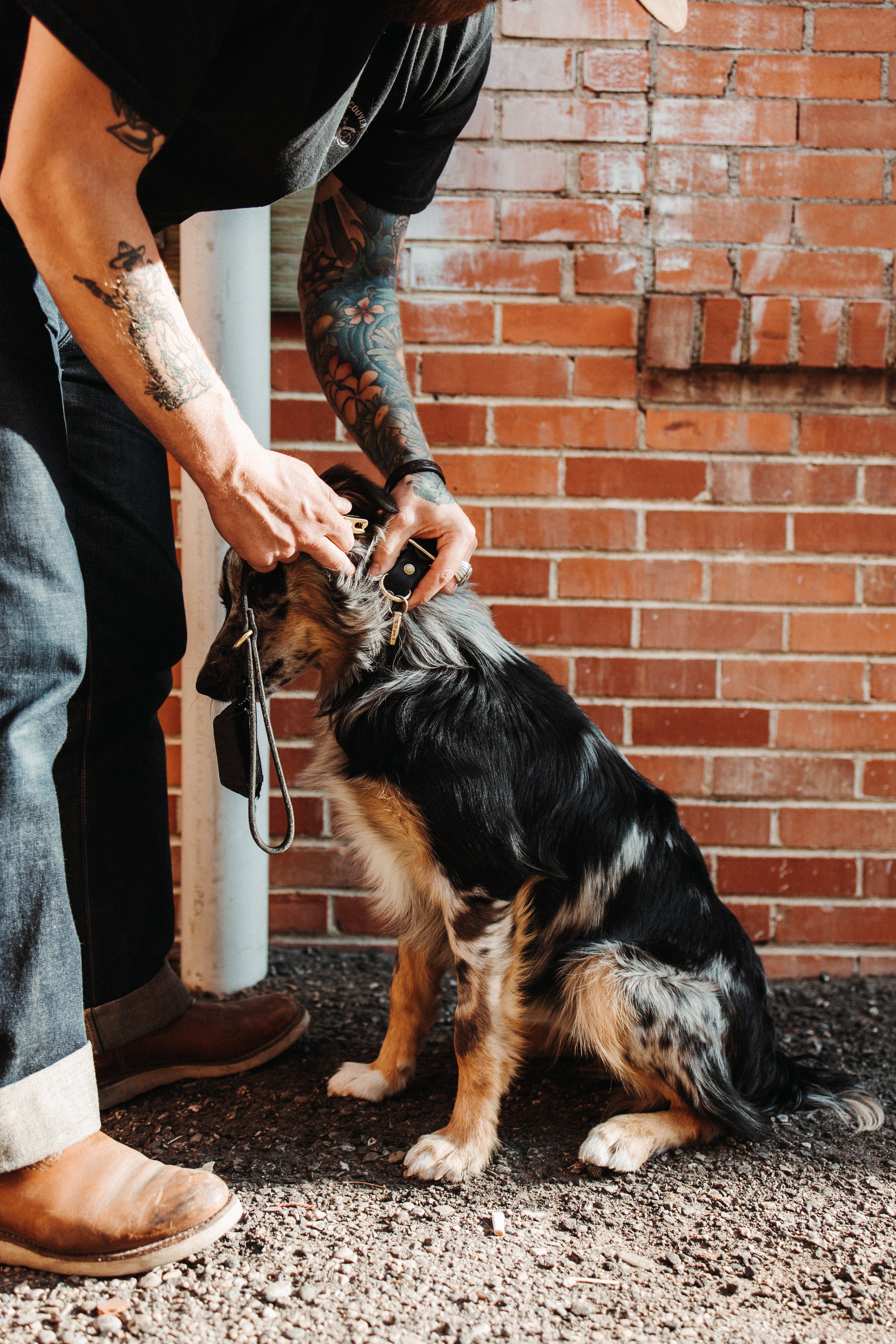 The Gus - Dog Lead - Natural