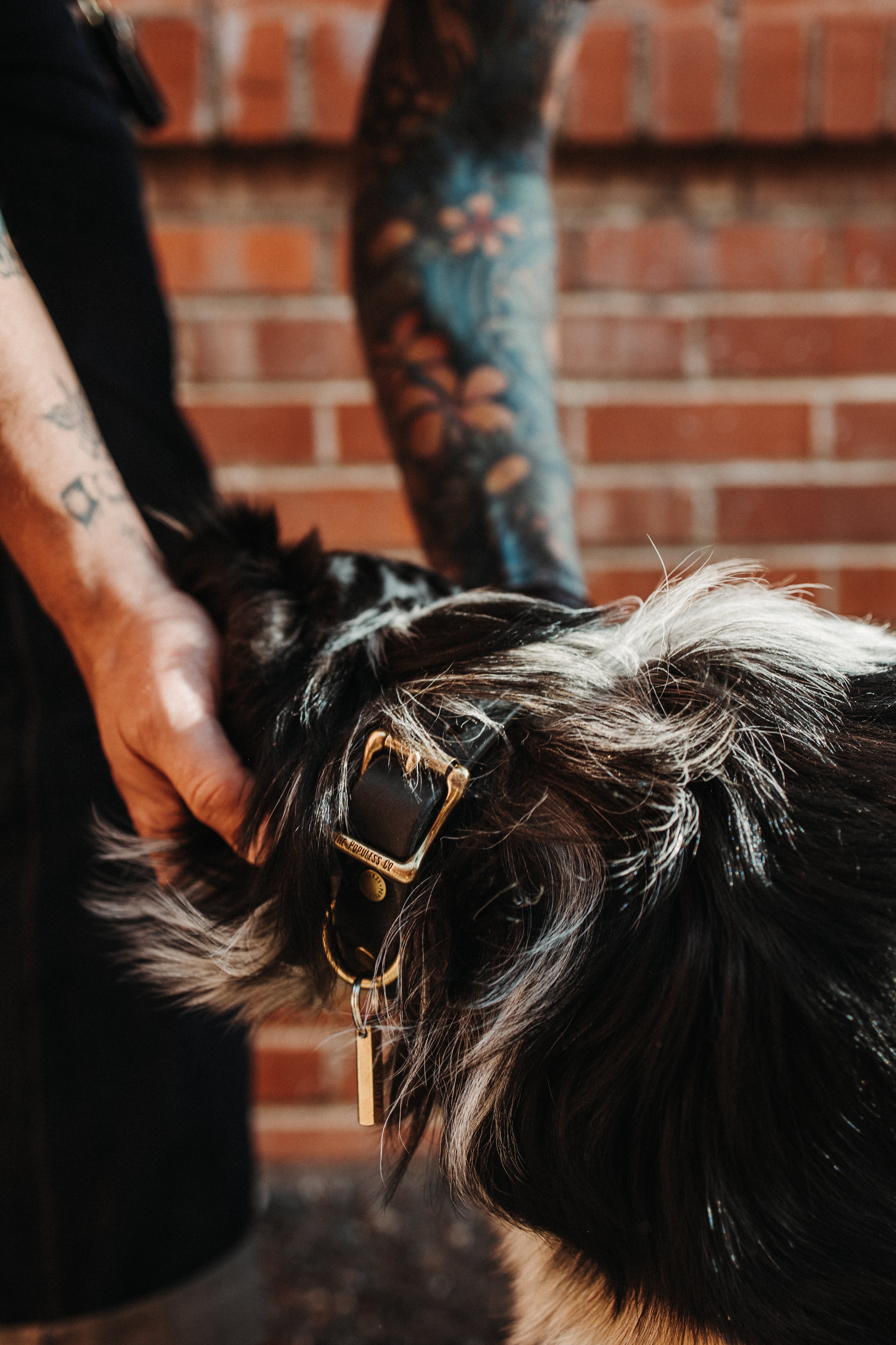 The Marv - Dog Collar - Natural